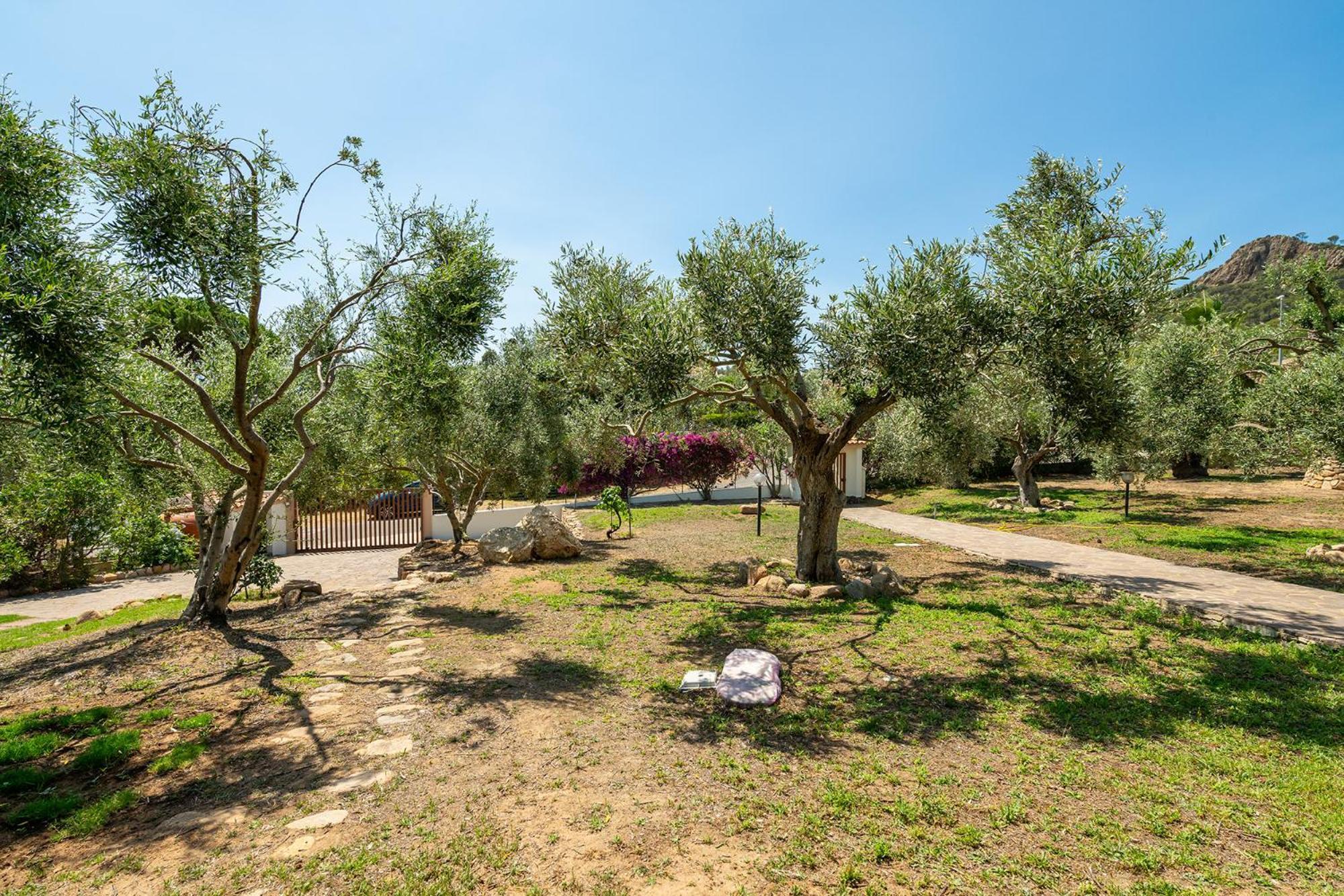 ホテル Casa Pilato Poggio dei Pini エクステリア 写真